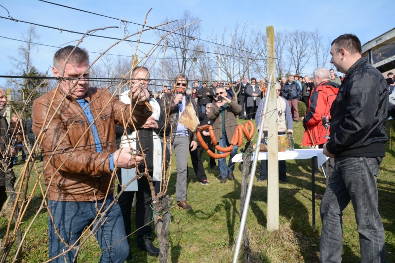 ODRŽANO TRADICIONALNO „VINCEKOVO 2018.“ U GORNJOJ STUBICI