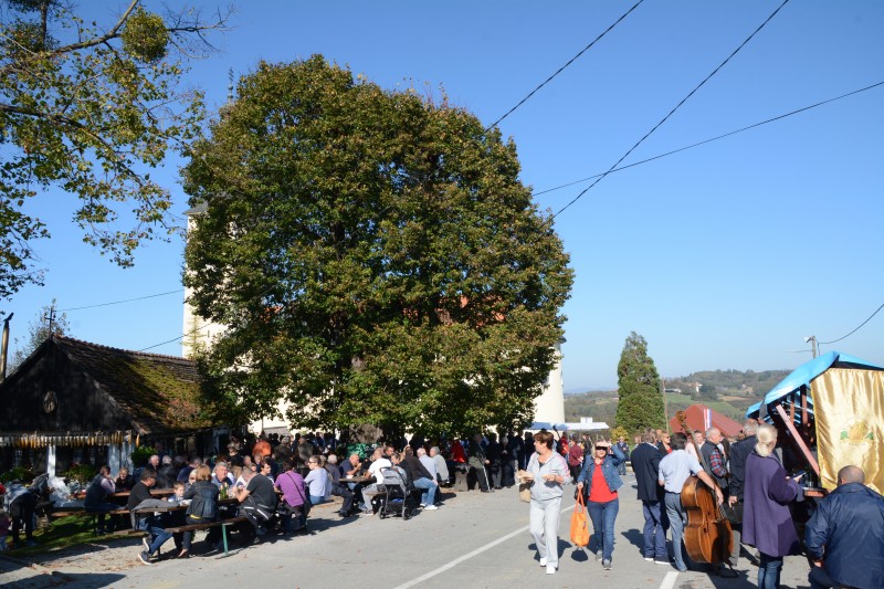 ODRŽANA TRADICIONALNA GUPČEVA KESTENIJADA 