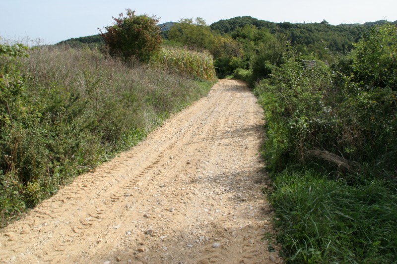 ODRŽAVANJE NERAZVRSTANIH CESTA U NASELJU JAKŠINEC I HUM STUBIČKI