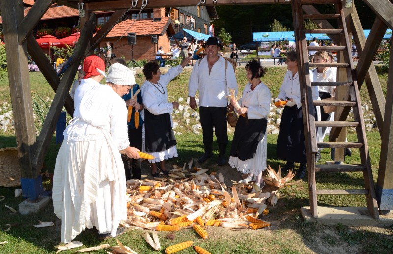 ODRŽANA MANIFESTACIJA „BRANJE KURUZE I LUPITVA“
