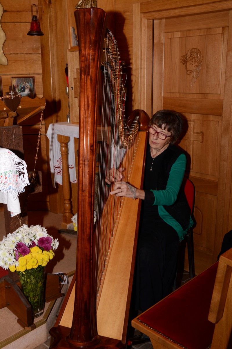 HARFA U SLANOM POTOKU